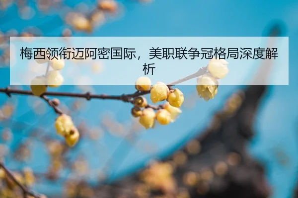 mei-xi-ling-xian-mai-a-mi-guo-ji-mei-zhi-lian-zheng-guan-ge-ju-shen-du-jie-xi-2-411.jpg