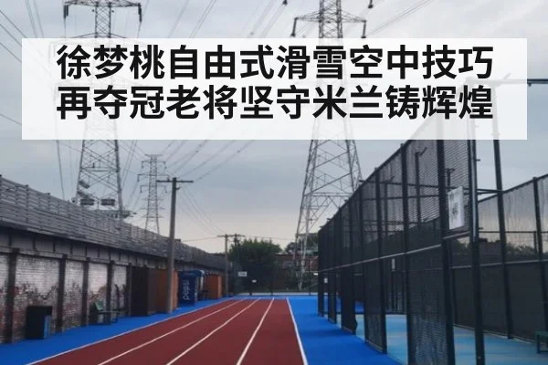 徐梦桃自由式滑雪空中技巧再夺冠老将坚守米兰铸辉煌