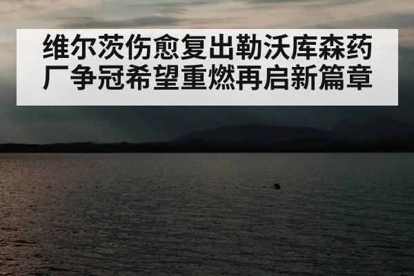 维尔茨伤愈复出勒沃库森药厂争冠希望重燃再启新篇章
